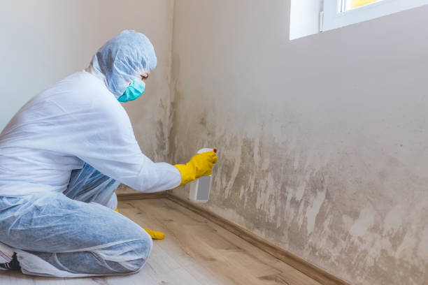 Hvac And Air Duct Mold Remediation inspection of HVAC system in Newport News