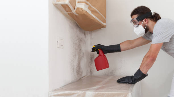 Attic Mold Remediation treatment on roof deck in Newport News